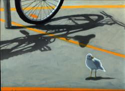 Where Did They Go? Bicycle and bird